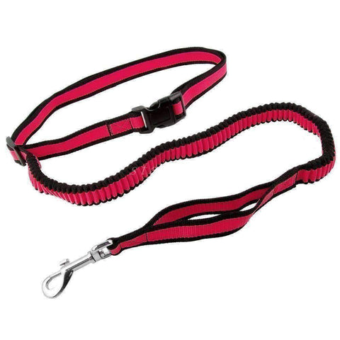 Image of Hands Free Dog Leash