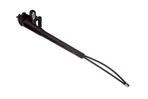 Image of Black