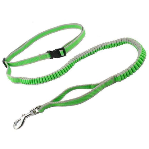 Hands Free Dog Leash
