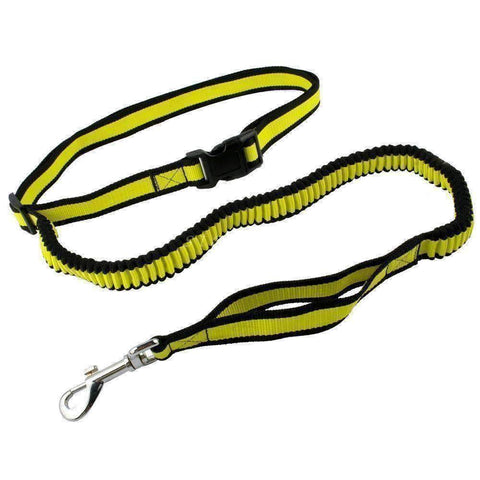 Image of Hands Free Dog Leash