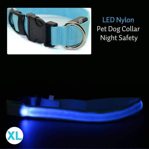 Glow In The Dark Dog Safety Collar