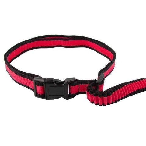 Image of Hands Free Dog Leash