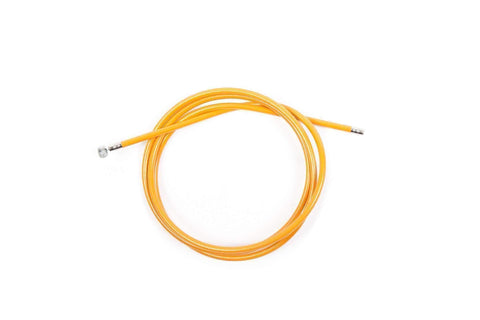 Image of Orange