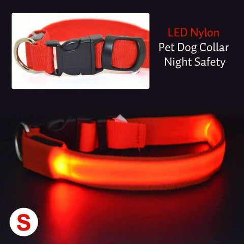 Image of Glow In The Dark Dog Safety Collar