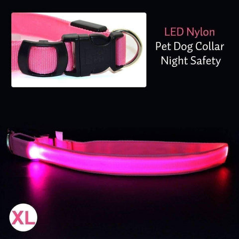 Image of Glow In The Dark Dog Safety Collar