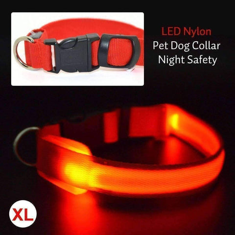 Image of Glow In The Dark Dog Safety Collar
