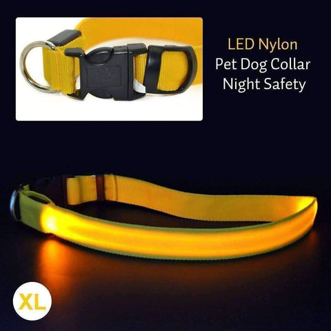 Image of Glow In The Dark Dog Safety Collar
