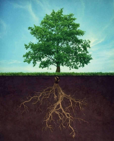 Image of Copy of Dusty Road Peplum Tee Dress